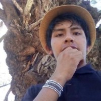 Renzo Alegre Alvarez