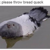 french bread