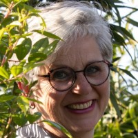 Judy Van Ruiten