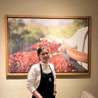 Dimmitri I. V. Areros