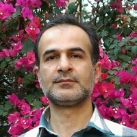 Hamid Rouzbehani