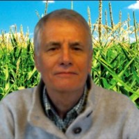 Dominique Bourillet