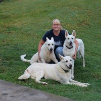 Allison Bailey