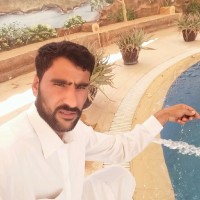 Naqeeb Ali