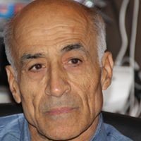 Mohammad Arzi