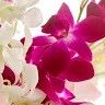 Evergreenfloral Company