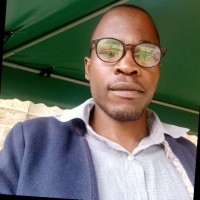 david omisi