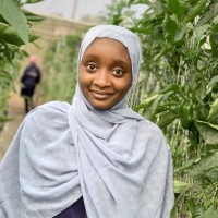 Umar fatima lapai