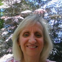 Nicola Callingham