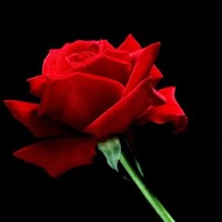 durga bhavani parise