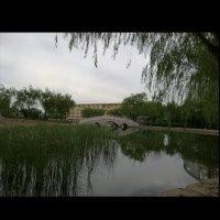 马兴星