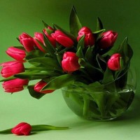 Simran .