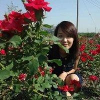 祁乐林