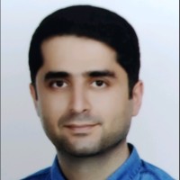 Soheil Razavi