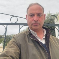 José Menezes
