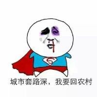 张海博