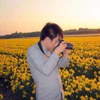 Donghong Piao
