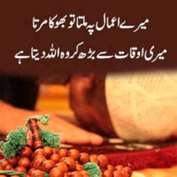 Adeel Riaz
