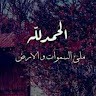 حسن العامري