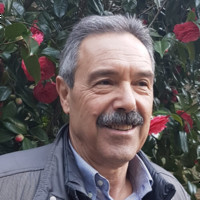 Massimo Ceccherini