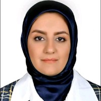 Saeideh Amelmahboub