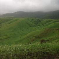صالح المحرمي