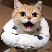 孙玉坤