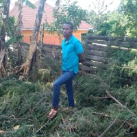 Tumwesigye Amon