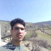Sadeghi Mohsen