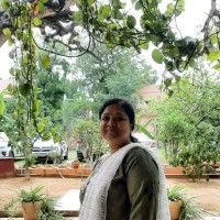 Meenu Modi