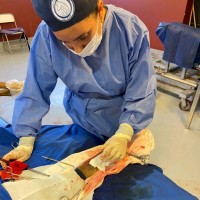 Ana Laura Dávila Trienfenbach