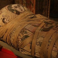 Mummies 101