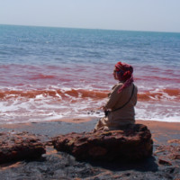 Reihaneh Yazdi