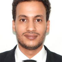 hamza Mohamedhen Louli