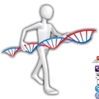 وكلاء الأجهزة الطبية والمختبرات