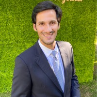 Rui Brízida Alves