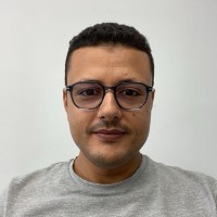Zied Bouzayen