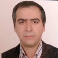 Saeed Mohseni