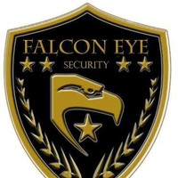 falcon eye