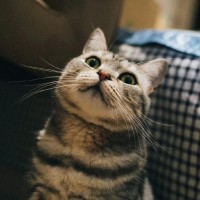 章文博