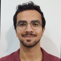 Vitor Balsanelli De Souza
