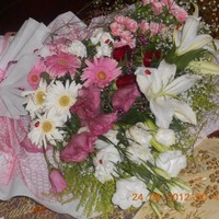 Aslıhan GÜNEŞ