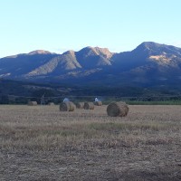 Jesús Antonio Aguillón Ramírez