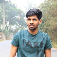 Kaushik Narayanan