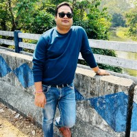 Partha P Chatterjee