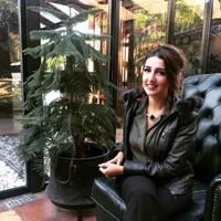 Buse Cömert Sertel, Ph.D.