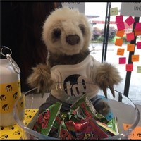 Sullivan Sloth