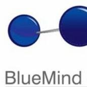 BlueMind Solutions