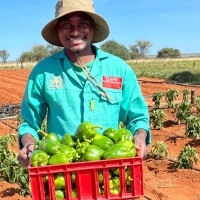 Martin Shuudeni