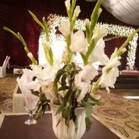 Ali Zaheer